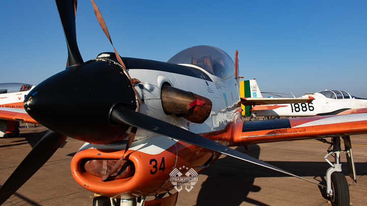 JPSampietri Spotting Highlight