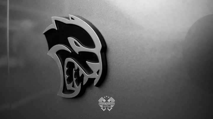 JPSampietri Spotting Highlight