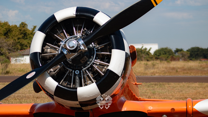 JPSampietri Spotting Highlight